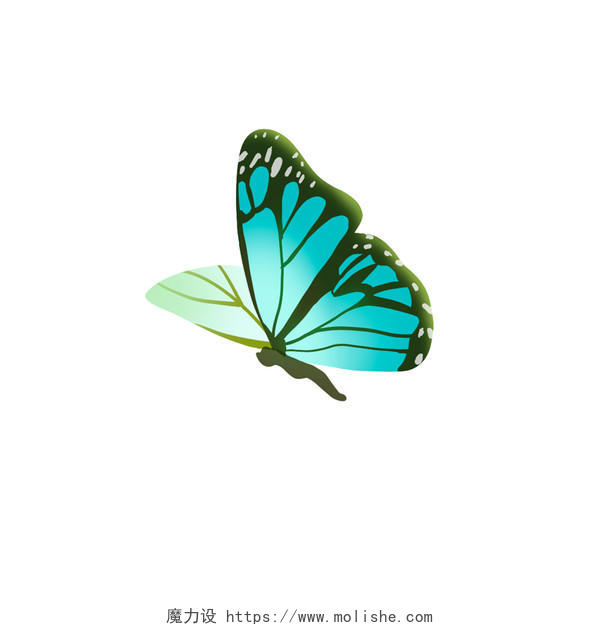 绿色手绘卡通蝴蝶昆虫元素PNG素材